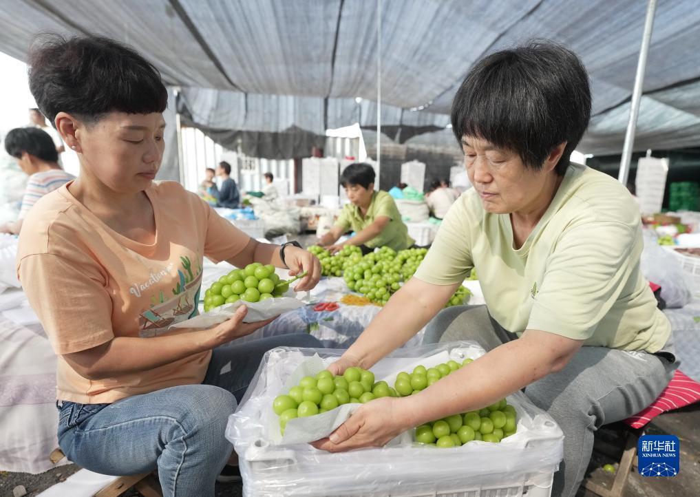扑鱼达人游戏小游戏